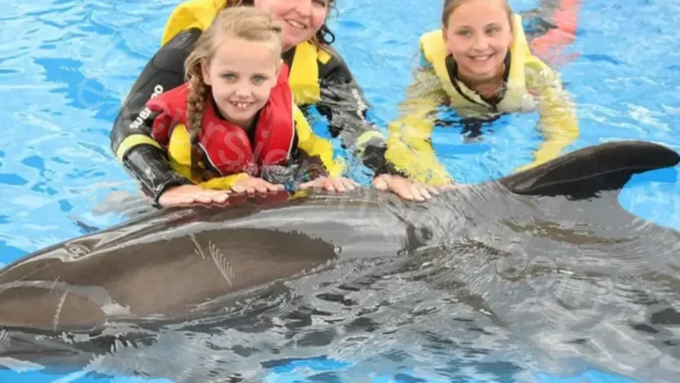 Swim With Dolphins in Side 2