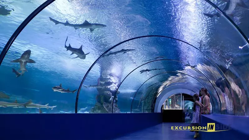 Antalya Aquarium from Side image 9