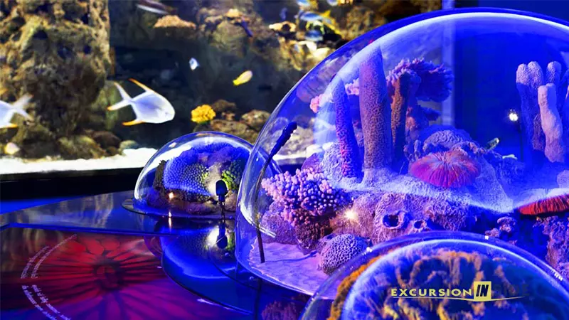 Antalya Aquarium from Side image 2