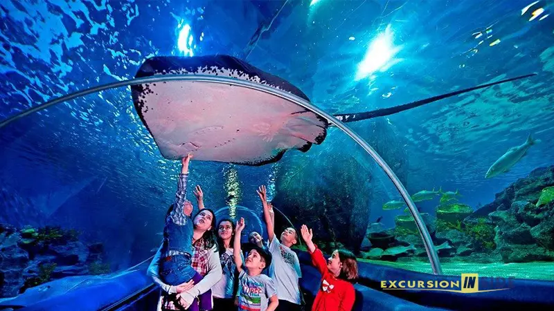 Antalya Aquarium from Side image 4