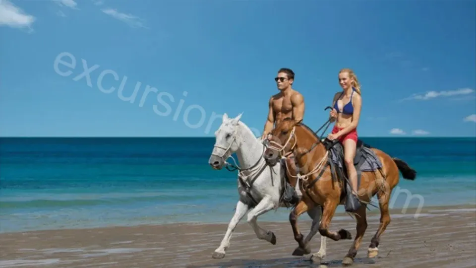 Horse Riding in Side