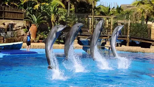 Дельфинарий в Сиде